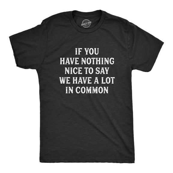 Mens If You Have Nothing Nice to Say We Have A Lot In Common T Shirt Funny Rude Joke Saying Tee for Guys Graphic Tees