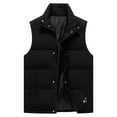 thumbnail image 1 of Mens Jacket Sevevn Men's Vest Solid Color Sleeveless Stand Collar Zipper Cardigan Warm Jacket, 1 of 8