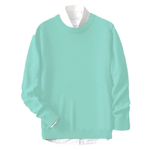 Mens Outerwear Sweater Crewneck Long Sleeve Knit Comfort Style Mens Workout Jacket,Mint Green,L