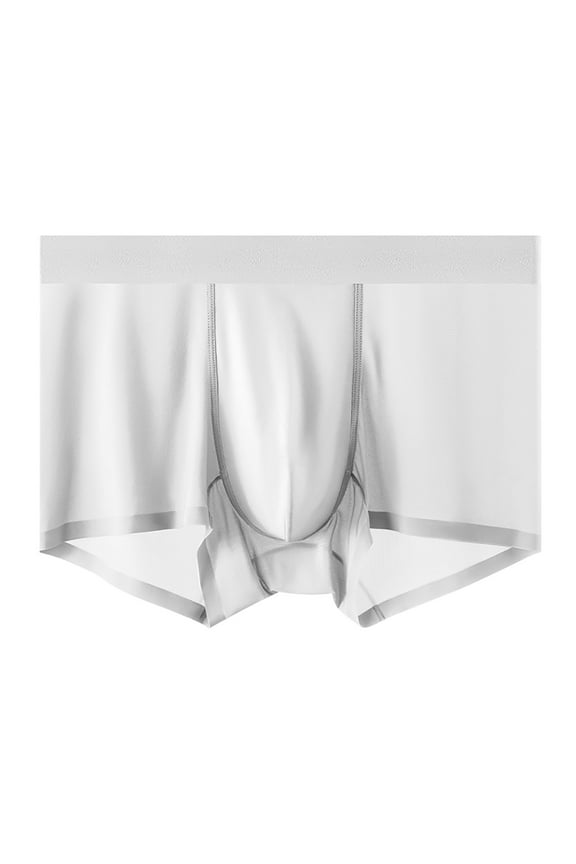 Mens Panties Ice Silk Stretch Mid Rise Comfortable Natural Silk Liner Crotch Briefs