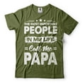 thumbnail image 1 of Mens Papa T-shirt Papa Birthday Tee Papa Gift Fathers Day Papa Shirt Father Shirt Dad Gifts (XX-Large Military Green), 1 of 6