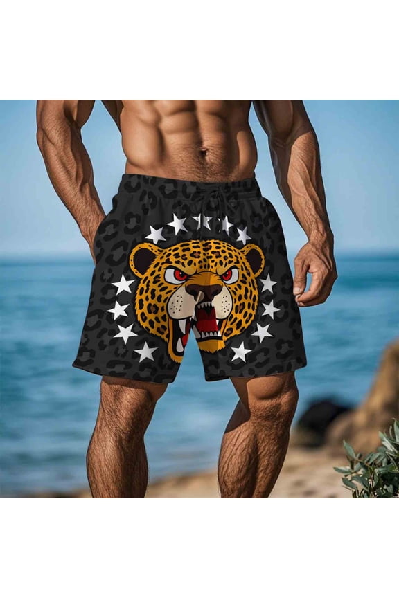 Mens Quick Dry Swim Trunks Leopard Print Dark Gray Cartoon Graphic Lightweight Elastic Waistband with Drawstring S-5XL,Size S
