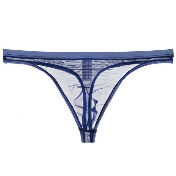 Mens Ransparent Thong Thin Mesh Sexy Underwear Fun Blue XL