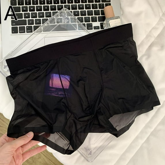 Mens Sexy Sheer Boxer Briefs Seamless See-through Ice Silk Underwear