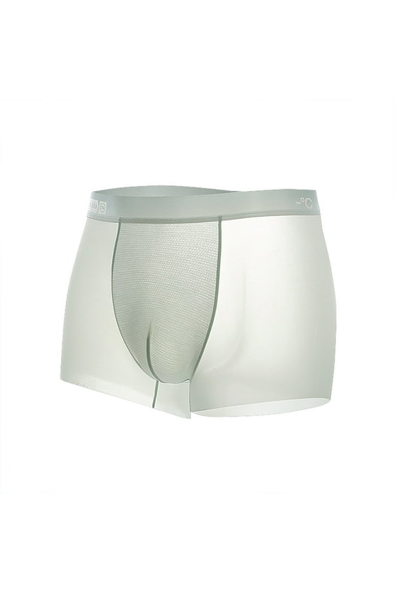 Mens Sexy Underwear See Through Ice Silk Boxer Briefs Ultra Thin Trunks Soft Bulge Pouch Sheer Boxer Shorts