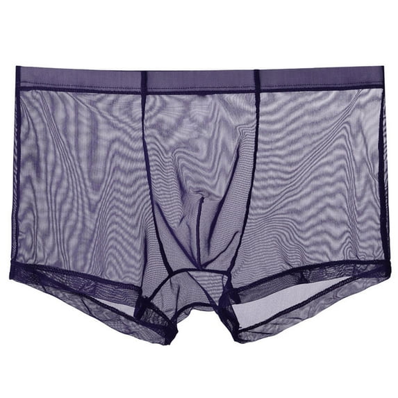 Mens Sheer Underwear Lightweight Breathable Thin Boxer Briefs Breathable Mesh Underpants Cotton High Waist Underwear for Women Purple M