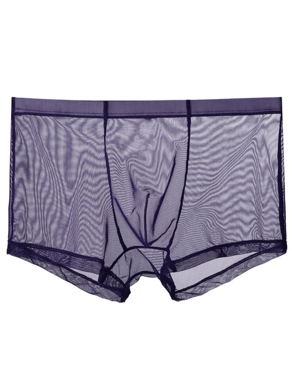Mens Sheer Underwear Lightweight Breathable Thin Boxer Briefs Breathable Mesh Underpants Womens Underwear Boyshorts Purple 3XL
