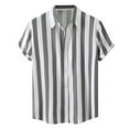 thumbnail image 1 of Mens Shirts Graphic Vintage Summer Hawaii Striped Prin Short Sleeve Turn Down Collar Button Shirts For Men Fashion Polo Grey XL, 1 of 5