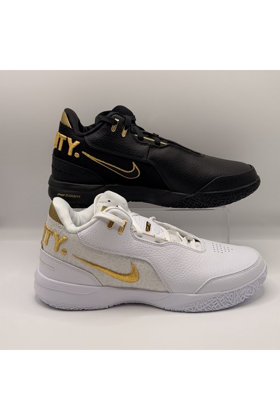 Mens Size 11 Nike Zoom LeBron NXXT Gen AMPD Equity FJ1566-103