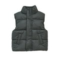 thumbnail image 1 of Mens Sleeveless Puffer Vest Lightweight Winter Outerwear Jacket with Stand Collar and Zipper Closure for Casual Daily Wear, 1 of 2