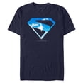 thumbnail image 1 of Mens Superman In the Sky T Shirt, 1 of 5