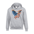 thumbnail image 1 of Mens Sweatshirts and Hoodies - American Flag Eagle USA, 1 of 5