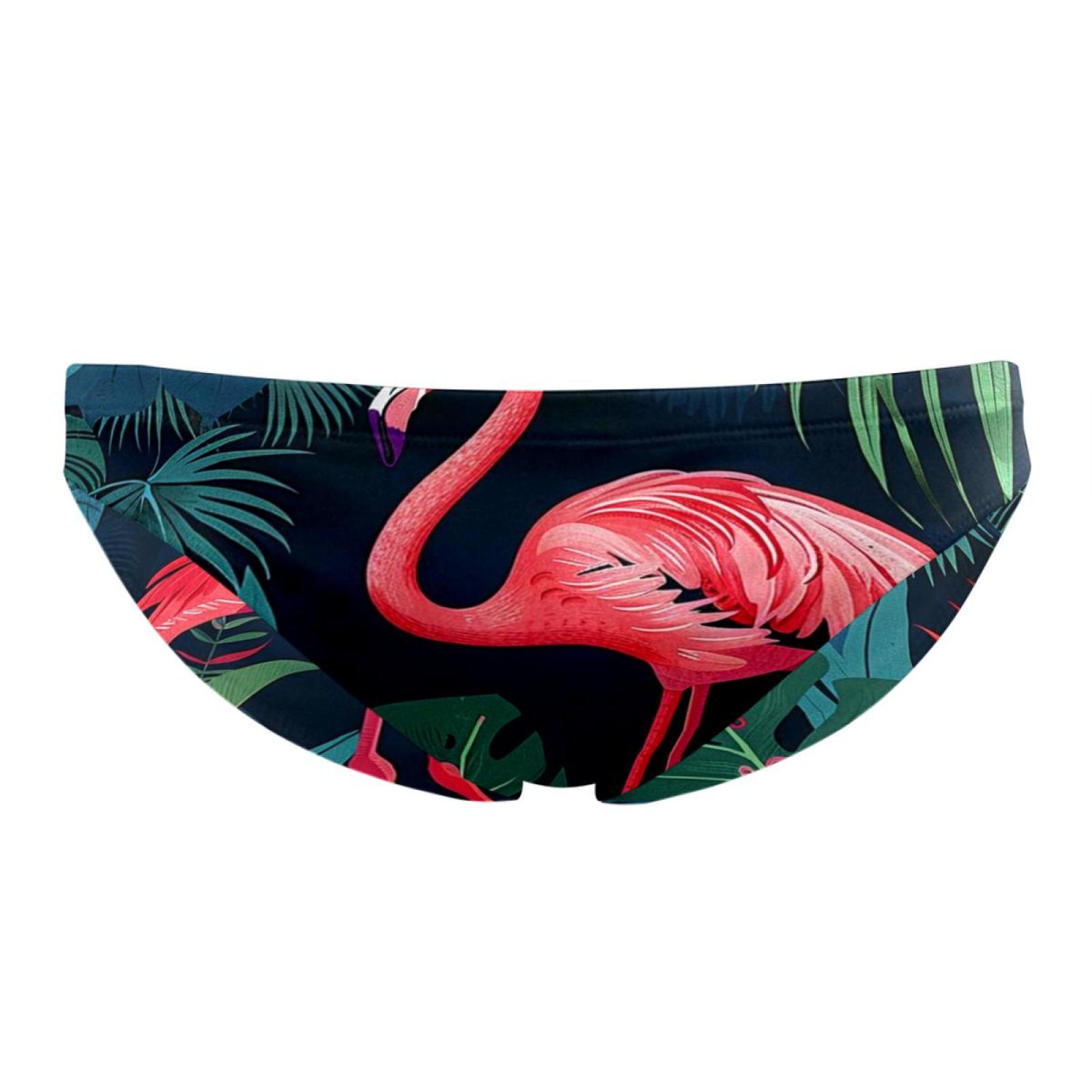 Mens Swim Trunks | Rose Flamingos | Tom & Teddy