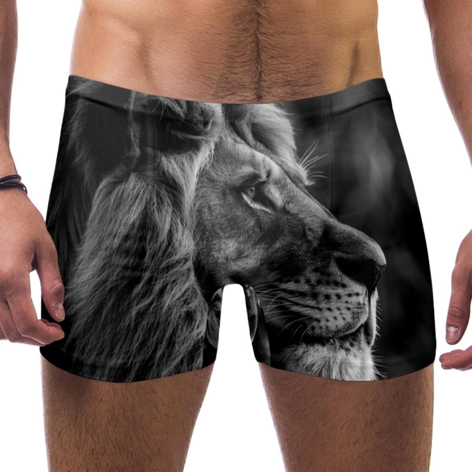 Mens Swim Briefs, Mens Bikini Swimwear, Lion Animal Grey - Walmart.com