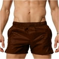 thumbnail image 1 of Mens Swim Trunks Elastic Waist See-Through Summer Beach Shorts Low Waist Bathing Suit Swimwear with Pockets (L, Coffee), 1 of 6