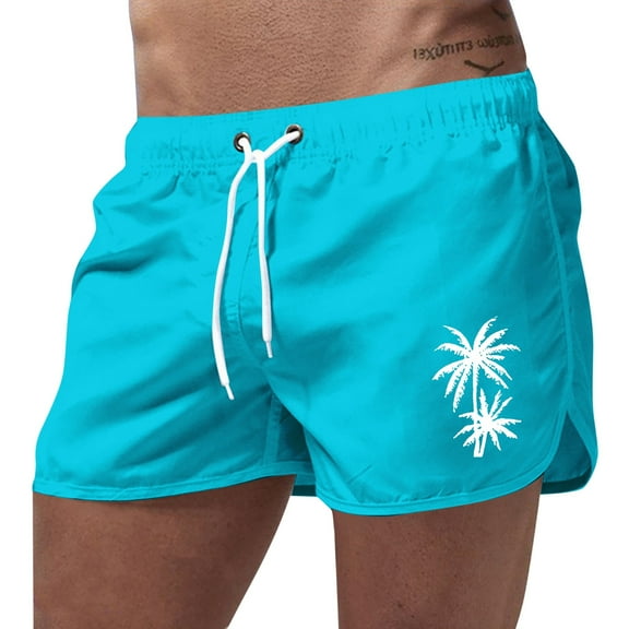 Mens Swim Trunks Summer Sports Fashion Leisure Travel Polyester Coconut Tree Printed Beach Shorts For Men Swim Shorts Sky Blue XL