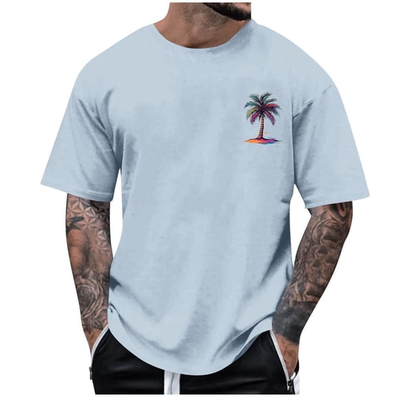 Mens T Shirts Printed Short Sleeve Pullover Tops Lightweight Soft Crewneck Casual Spring Top Light Blue M