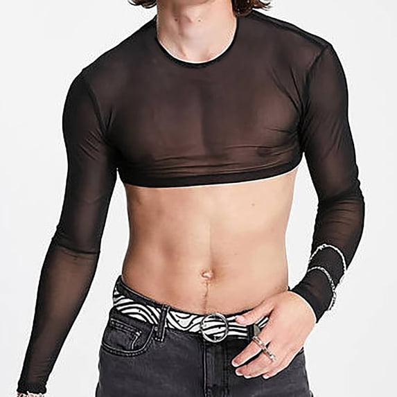 Mens T-Shirts Summer Solid Color Mesh See Through Sexy Crew Neck Long Sleeve Fashion Tops Pullover Daily-Wear,Black,S, T Shirts