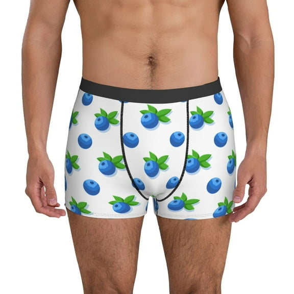 Mens Underwear Boxer Briefs - Blueberries pattern cartoon Comfort Breathable men's boxer briefs with Flex Waistband