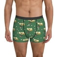Mens Underwear Boxer Briefs Sleeping Koala Green Comfort Breathable