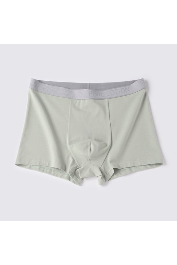 Mens Underwear Briefs Breathable Soft Fly Trunks Blend Shorts Comfortable Daily Wear, L, Green