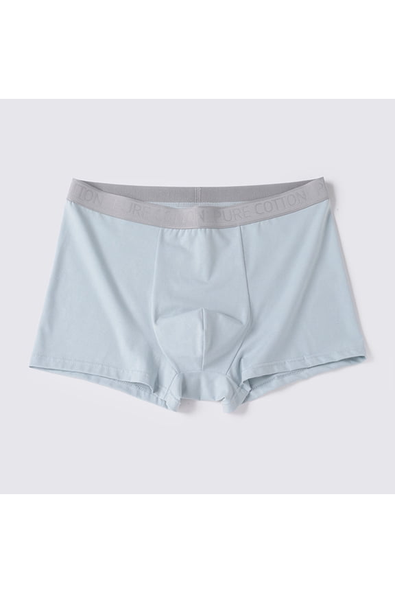 Mens Underwear Briefs Breathable Soft Fly Trunks Blend Shorts Comfortable Daily Wear, XL, Light Blue