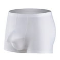 thumbnail image 1 of Mens Underwear Men Casual Solid Thin Ice Silk And Transparent Boxer Underwear Pants, 1 of 8