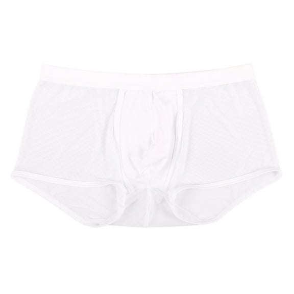 Mens Underwear,Men's Low Rise Ice Silk Briefs Comfortable Fashion Underwear for Everyday Wear,Men's Underwear,White,L