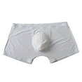 thumbnail image 1 of Mens Underwear Men's Pure Color Ice Silk Seamles Underwear Fashionable Sexy Underwear, 1 of 4