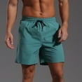 thumbnail image 1 of Mens Waterproof Shorts Elastic Waist Lined Mesh 4 Inch Inseam Outdoor Swim Trunks, 1 of 5