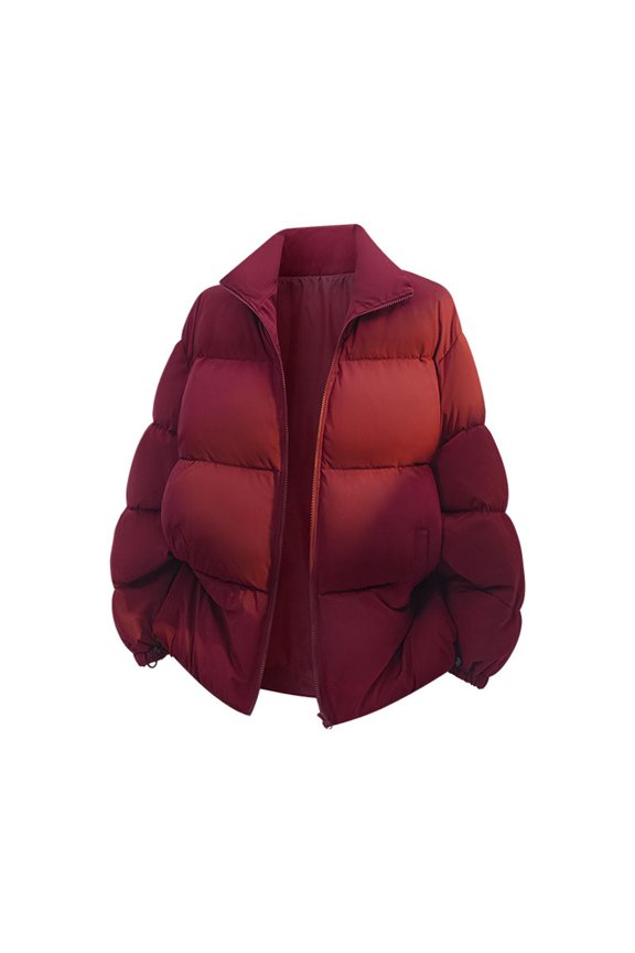 Mens Winter Padded Jacket 2025 Full Zip Windproof Midweight Water Resistant Park Stand-collar Puffer Coat