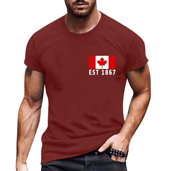 Mens Work Shirt Fashion Printed Comfort Breathable Beach Vacation Clothes for Men,Wine,2XL