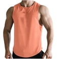 thumbnail image 1 of Mens Workout Mesh Tank Tops Quick Dry Sleeveless UPF 50+ Muscle Tee Cut off Shirts for Athletic Gym Running Swim Beach Training Big and Tall Size M-3XL Pink, 1 of 6
