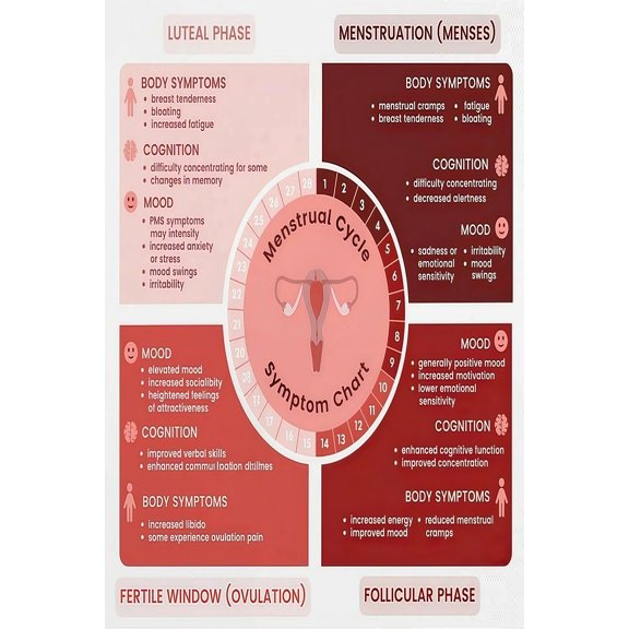 Menstrual Cycle Symptom Chart Phases Mood and Body Changes health poster