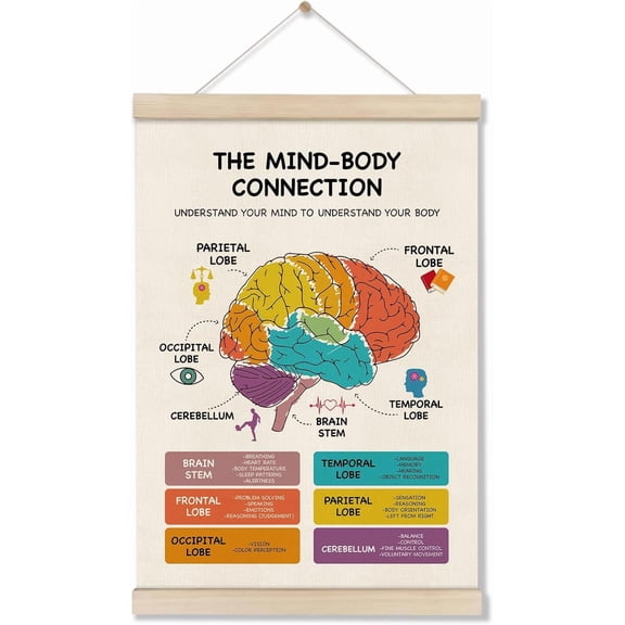 Mental Health Poster Hanger Frame, Brain Anatomy Posters, Therapy Office Decor, School Counselor Office Decor, Mind Body Connection Artwork for School 16x12 Inch, Stress Management Canvas Wall Art