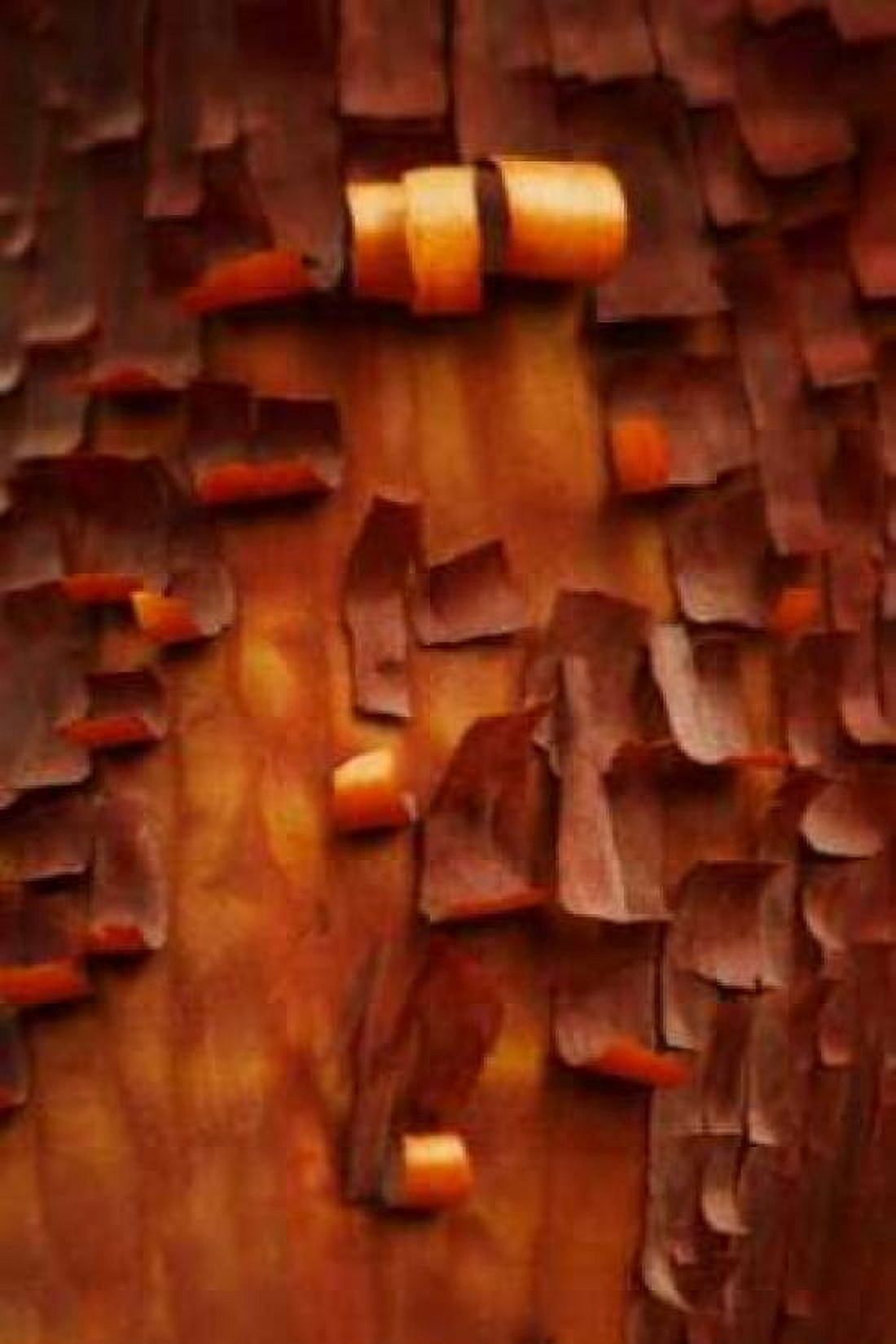 Menzanita Mosaic II Canvas Art - Vitaly Geyman (24 x 36)