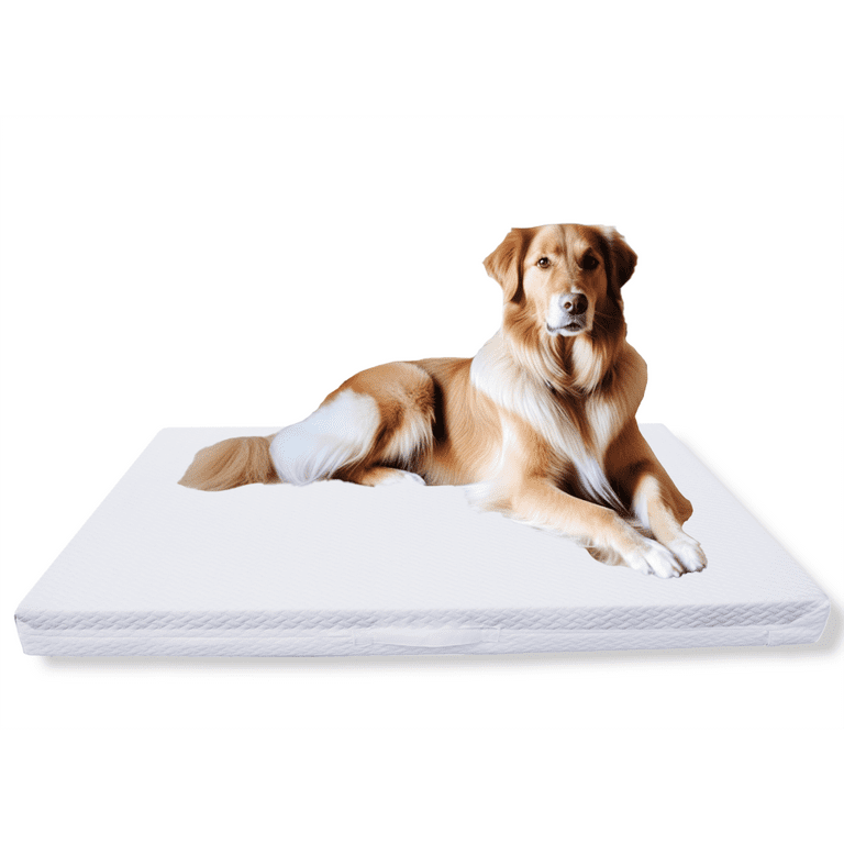 Meow Woof Waterproof Dog Bed Cover Removable Reversible 48x30 Inch Pet Bed Protector Machine Washable Dog Bed Liner Mattress Cover Durable
