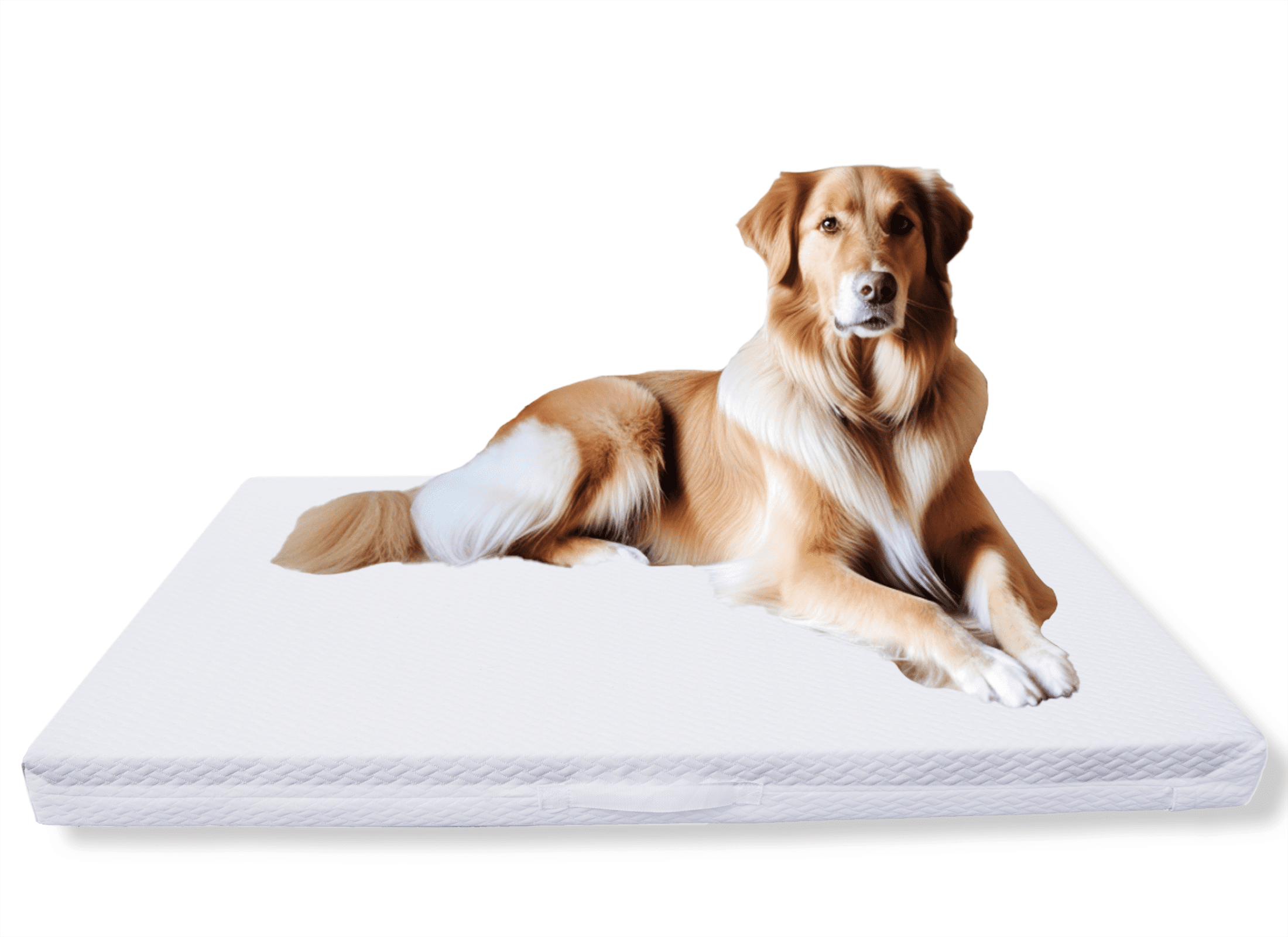 Meow&Woof Waterproof Dog Bed Cover Replacement Removable Washable