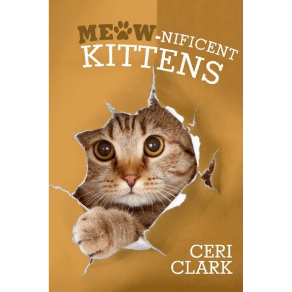 Pre-Owned Meow-nificent Kittens: The Secret Personal Internet Address & Password Log Book for Kitten & Cat Lovers (Paperback) 1680630377 9781680630374