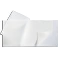 thumbnail image 1 of Mepitel Silicone Dressing 4 X 8 Inch 1 Count, 1 of 1