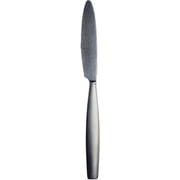 Mepra Mediterranea Ice Table Knife with Hollow Handle, 8-7/8-Inch, Set of 12