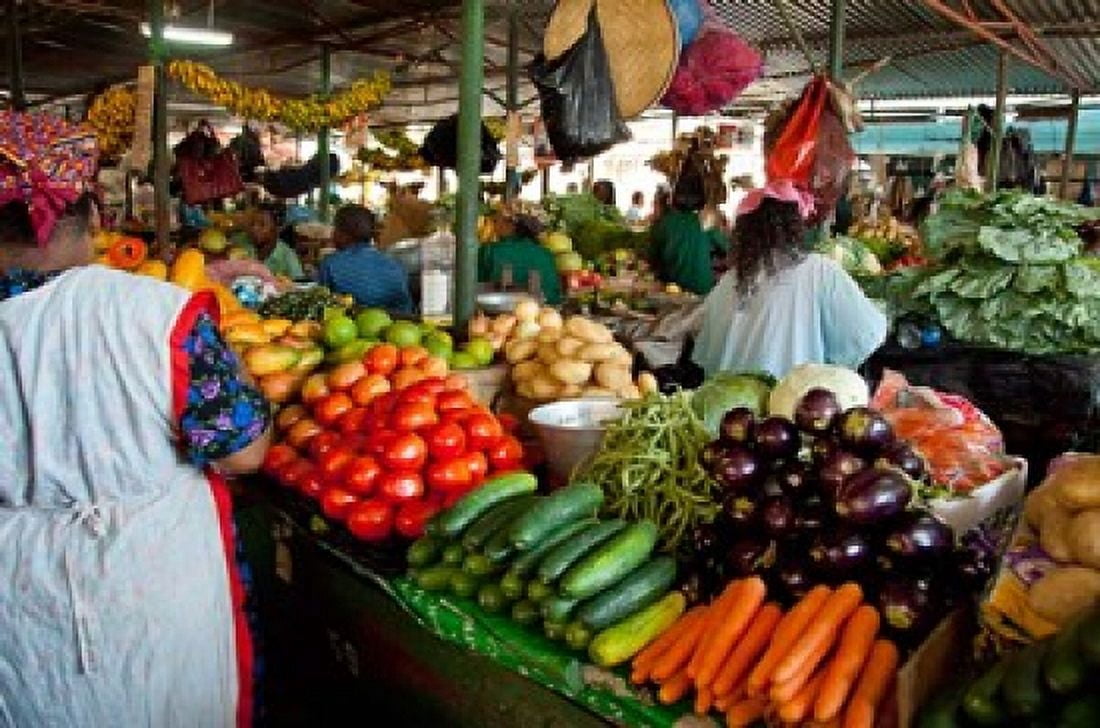 Mercado Municipal Maputo Mozambique Canvas Art - Cindy Miller Hopkins  DanitaDelimont (29 x 19)