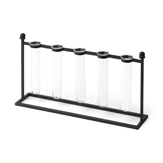 Mercana Bunsen Black Metal Five Glass Test Tube Vase