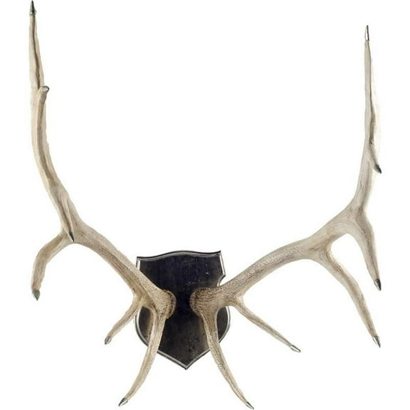 Mercana Sika I Natural Off White Finish set of Resin Replica Deer Antlers
