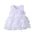 thumbnail image 1 of Mercatoo Baby Girls Spring Summer Flowers Butterfly Lace Ruffle Sleeveless Princess Dress Baby Girls Birthday Party Dress, 1 of 3
