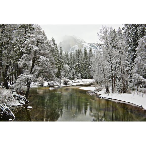 Merced River Yosemite National Park California USA Poster Print by Robert Brown, 18 x 12