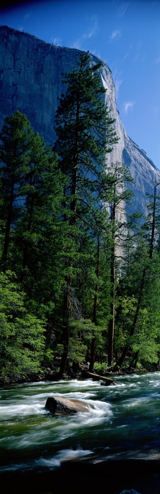 Merced River and El Capitan Yosemite National Park CA Canvas Art - Panoramic Images (27 x 9)