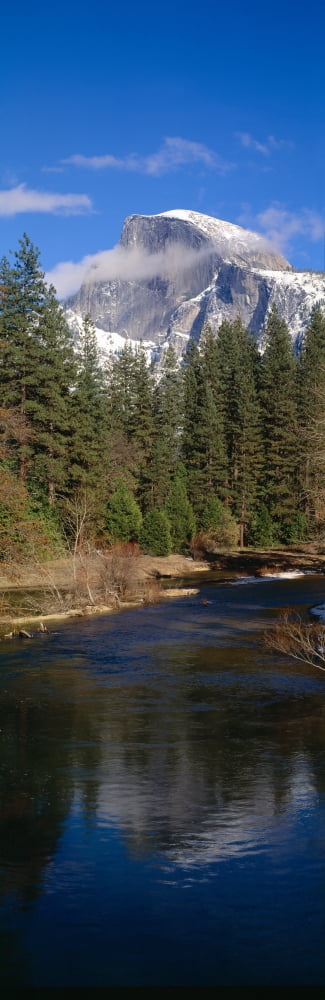 Merced River and Half Dome Yosemite California Canvas Art - Panoramic Images (36 x 12)