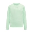 thumbnail image 1 of Mercedes AMG Petronas F1 Team Mens Retro Long Sleeve Lilac/Mint/Blue T-shirt, 1 of 6