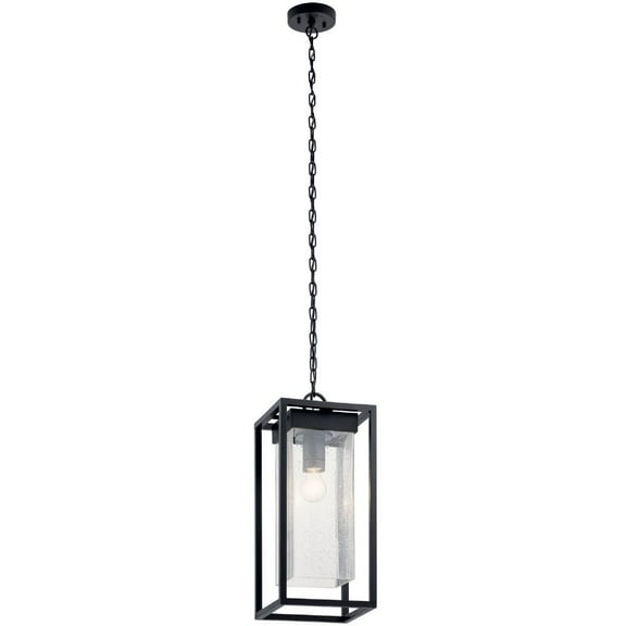 Mercer 9" Outdoor Hanging Light in Black with Silver Highlights
